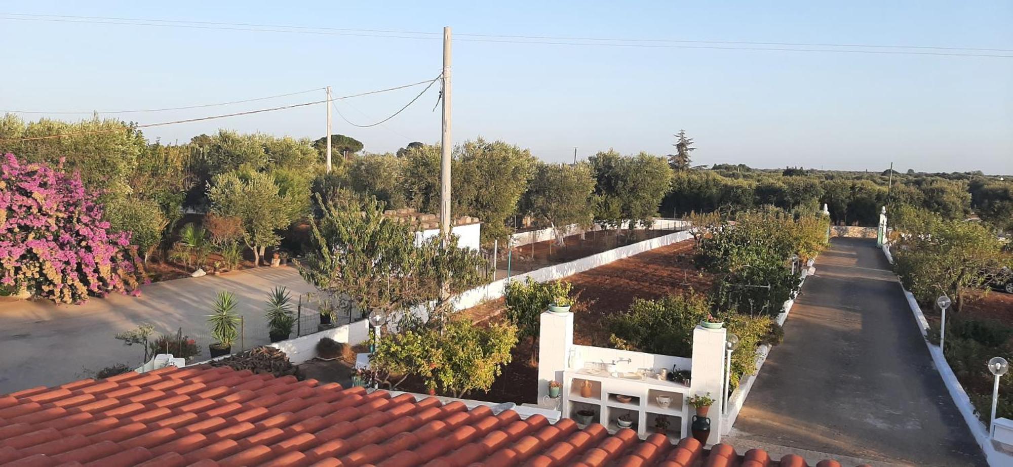Villa Mina Ostuni Dış mekan fotoğraf